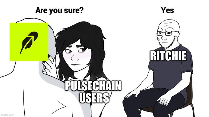 A Wojak meme titled "Are you sure?" shows a hesitant figure labeled "PULSECHAIN USERS" looking at the PulseChain logo, while a confident, bald man labeled "RITCHIE" (likely referring to PulseChain creator Richard Heart) sits calmly and says "Yes." The post's comment "PulseChain right now…" suggests the meme humorously captures PulseChain users' uncertainty and skepticism about the project's direction, contrasted with Heart's unwavering confidence in his creation.