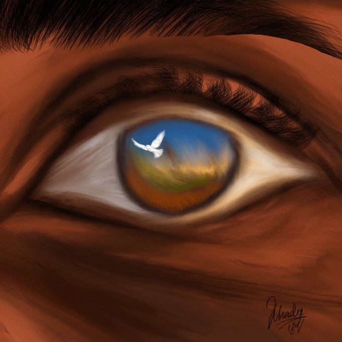 A digital painting of a close-up brown eye reflecting a white dove flying over a grassy landscape, signed 'D'Andee' in the bottom right.