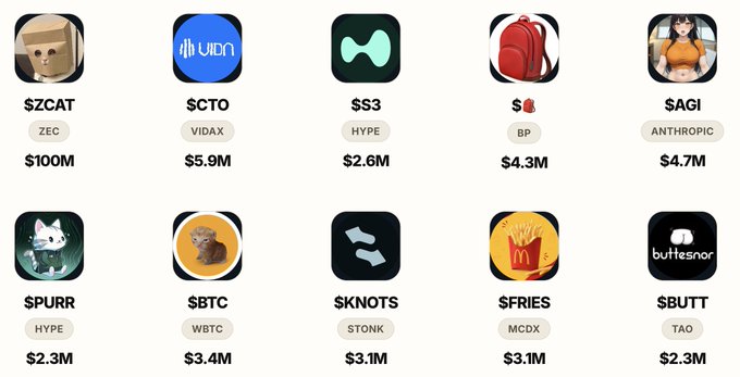 A grid displays the top 10 "STONK launch runners" cryptocurrency tokens, showing $ZCAT (ZEC, $100M), $CTO (VIDAX, $5.9M), $S3 (HYPE, $2.6M), $🎒 (BP, $4.3M), $AGI (ANTHROPIC, $4.7M), $PURR (HYPE, $2.3M), $BTC (WBTC, $3.4M), $KNOTS (STONK, $3.1M), $FRIES (MCDX, $3.1M), and $BUTT (TAO, $2.3M), illustrating the performance of meme coins paired with partner assets that distribute fees or rewards to holders.