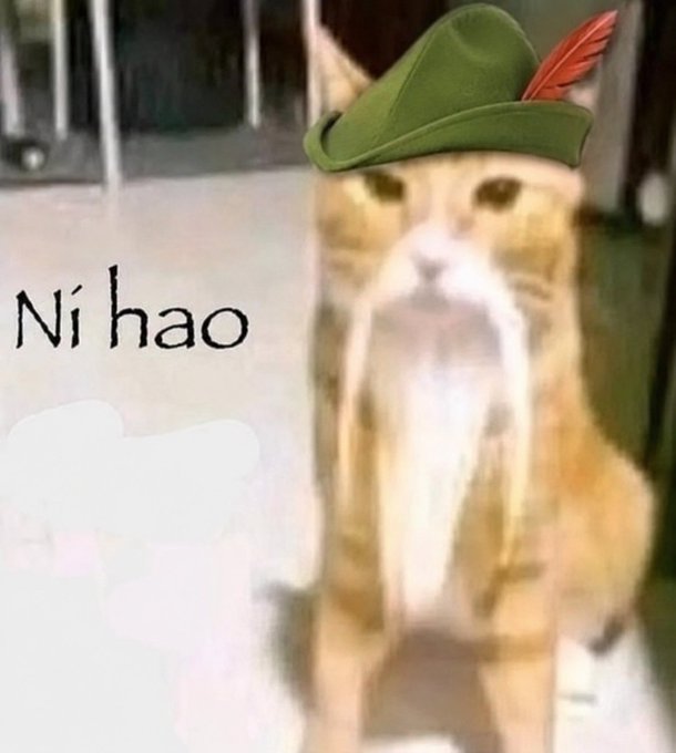 A low-resolution meme of an orange and white cat wearing a green Robin Hood-style hat with a red feather, accompanied by the text "Ni hao" and a white pointing glove graphic.