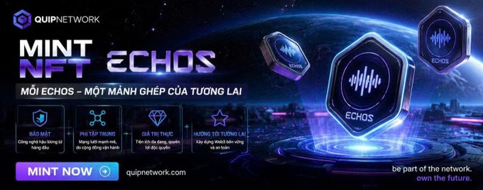 A promotional banner for Quip Network's "Mint NFT Echos" campaign, featuring cosmic-themed hexagonal NFT tokens and displaying the call-to-action "MINT NOW" with the website quipnetwork.com.

The image ties into the post by visually promoting the rumored $QUIP NFT mint event mentioned, highlighting the "ĐẦU TƯ THÔNG MINH" (smart investment) benefit to encourage participation in the Echos minting.