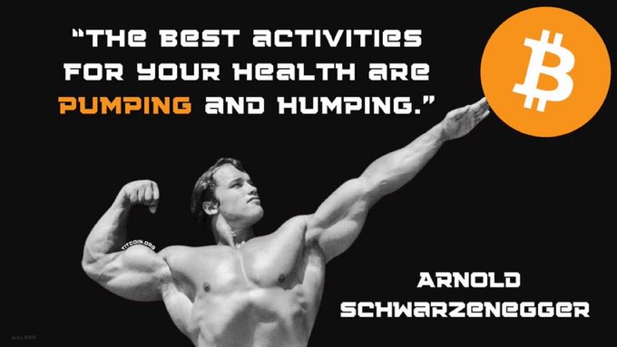 A black-and-white image of bodybuilder Arnold Schwarzenegger with an orange Bitcoin logo replacing his hand, captioned 'THE BEST ACTIVITIES FOR YOUR HEALTH ARE PUMPING AND HUMPING.'