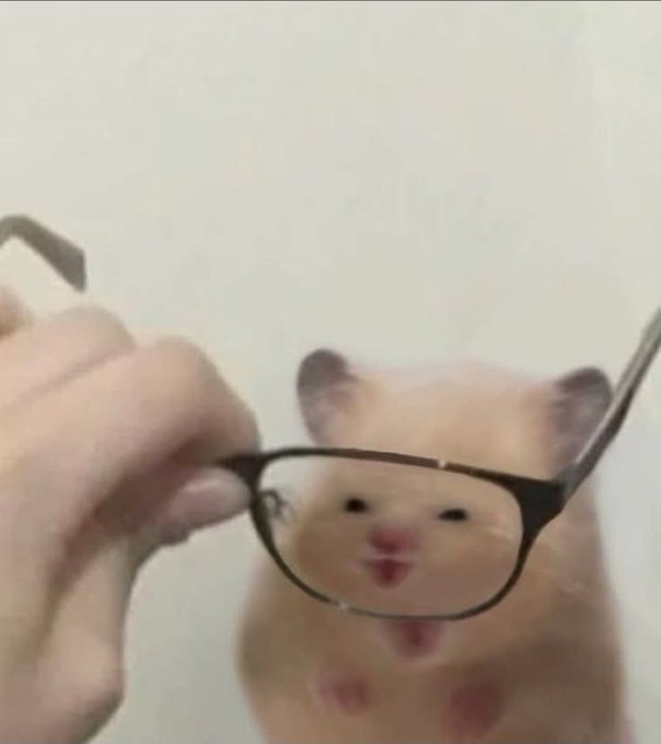 A close-up of a hamster wearing black-framed glasses being held by a hand, with the hamster's mouth pursed in an expressive look.