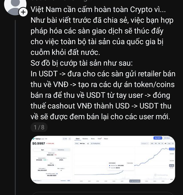 A screenshot of a Vietnamese social media post titled 'Việt Nam cần cấm hoàn toàn Crypto vì...' discussing how legalizing exchanges leads to asset loss. It includes a text diagram describing a money flow involving USDT and VND, accompanied by a screenshot of a USDT price chart from Coingecko showing a price around $0.9997.
