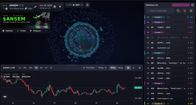 The image shows a crypto analytics dashboard for the $ANSEM meme coin, displaying a $303.34M liquidity with a price of $0.2033, a 61.66% address concentration in the top cluster, and a candlestick chart showing recent price action between June 15-20, 2025. The dashboard visualizes $ANSEM's market structure as the accompanying post argues the token—backed by Ansem's established Solana reputation—could massively outperform Bitcoin in the current crypto cycle.