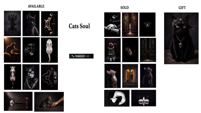 A gallery interface titled 'Cats Soul' showcasing dark-themed digital art NFT collections categorized into 'AVAILABLE', 'SOLD', and 'GIFT' sections, featuring various cat-themed artworks.