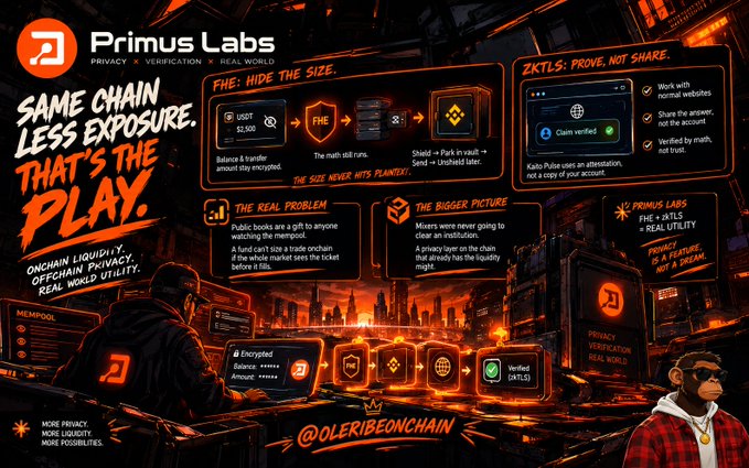 An infographic for 'Primus Labs' with the tagline 'PRIVACY + VERIFICATION = REAL WORLD' featuring sections on 'SAME CHAIN LESS EXPOSURE. THAT'S THE PLAY.' and 'ZKTLs: PROVE, NOT SHARE', ending with '@OLERIBEONCHAIN' and a cartoon ape character.