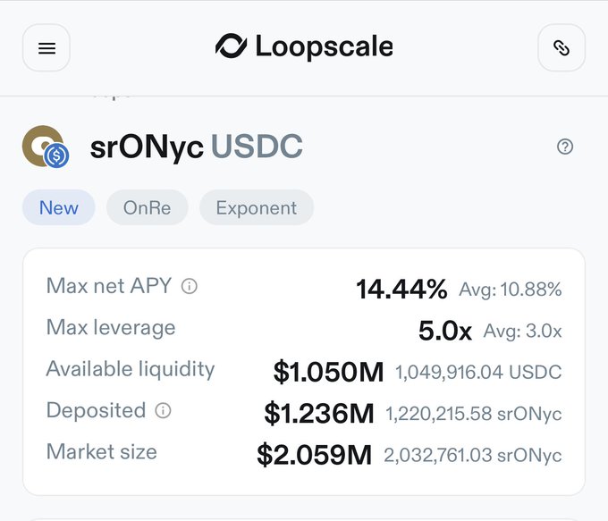 Loopscale platform showing an srONyc/USDC lending market with Max net APY of 14.44% (Avg: 10.88%), Max leverage of 5.0x, and $2.059M market size.