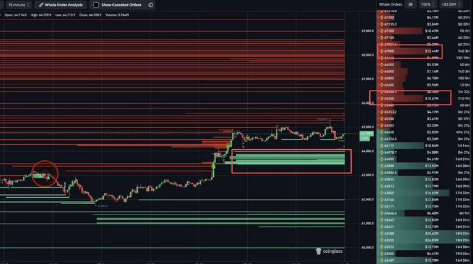 A trading chart from Coinglass displays 'Whale Order Analysis' for Open 44,714.0, High 44,719.9, Low 44,713.9, showing red and green order clusters on a candlestick chart.