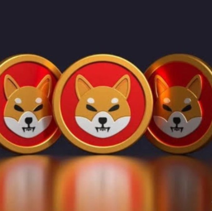 Three 3D Shiba Inu coins with gold borders and red backgrounds are displayed in a row against a dark backdrop, representing the $SHIB cryptocurrency mentioned in the post about its breakout above the 200-day moving average in 2026.