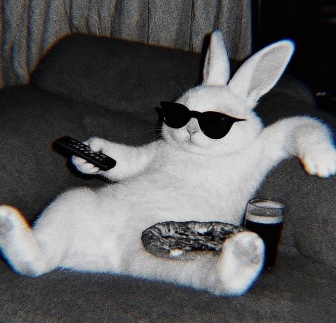 A white cat wearing black sunglasses lounges on a dark couch, holding a remote control while a donut and glass of dark beer rest on its belly.
