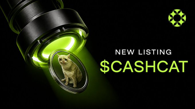 A cryptocurrency promotional graphic showing a cat inside a coin under a green light, with text reading 'NEW LISTING $CASHCAT'.