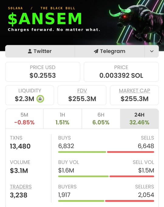 A token stats page for $ANSEM on Solana titled 'THE BLACK BULL', showing price $0.2553, market cap $255.3M, and 32.46% 24H gain.