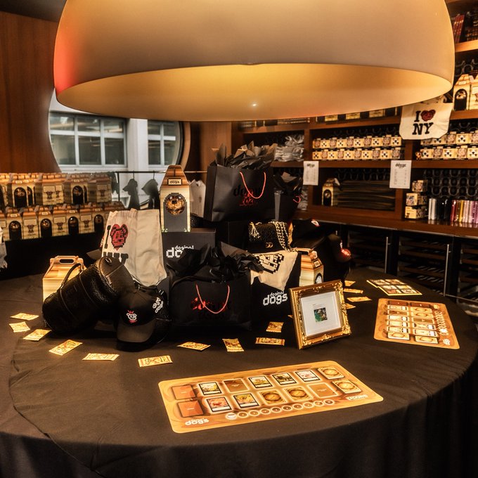 A display table under a large pendant lamp showcases merchandise from dögnal dögs, including black shopping bags, clothing, and gold-colored sample cards.