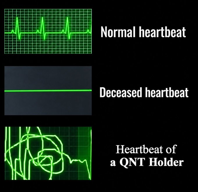 A meme comparing heartbeats: a normal heartbeat with regular spikes, a deceased heartbeat shown as a flat line, and a chaotic erratic line labeled 'Heartbeat of a QNT Holder'.