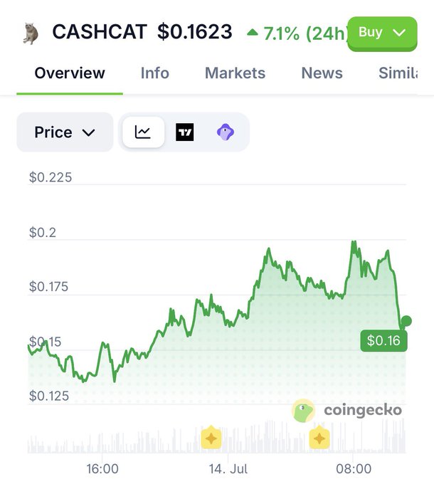 A CoinGecko cryptocurrency price chart for CASHCAT token showing a current price of $0.1623 with a 7.1% gain over 24 hours, displayed on a green price chart.