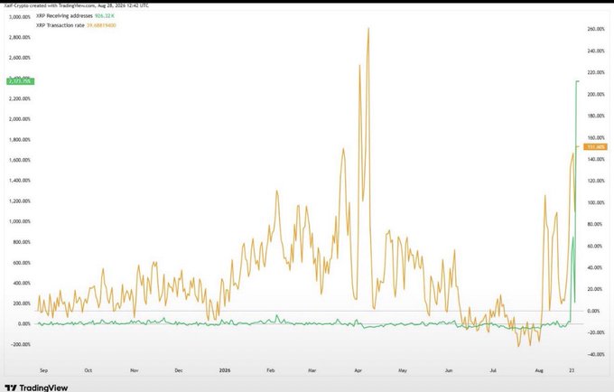 A TradingView chart titled 'XRP Receiving addresses 90d' showing XRP Transaction rate with a +21.91% value, displaying volatile price activity from September 2024 through August 2025.