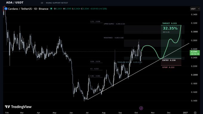 A TradingView chart for ADA/USDT (Cardano / TetherUS) on the Binance exchange shows an 'ASCENDING SUPPORT RETEST' pattern, indicating a potential 'RISING SUPPORT RETEST' with target 0.315.