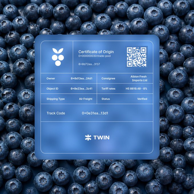 A "Certificate of Origin" card for blueberries from TWIN is displayed against a background of fresh blueberries, showing details like owner ID, consignee (Albion Fresh Imports Ltd), air freight shipping, verified status, and a QR code—all illustrating IOTA's blockchain-based trade and supply chain traceability use case.