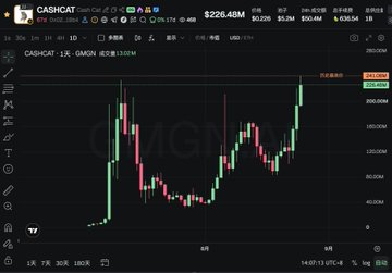 A candlestick chart of GMGN on the CASHCAT platform displays the token's price volatility around $204-208, with the post promoting GMGN as a long-term Doge meme play on the Robinhood base chain for swing traders.