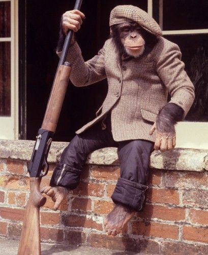 A chimpanzee wearing a tweed jacket, flat cap, and dark trousers sits on a brick windowsill while casually holding a rifle, evoking the image of a "gentleman hunter." It visually reinforces the post's message about actively pursuing wealth ("hunting it") rather than passively waiting for opportunity in the trenches.