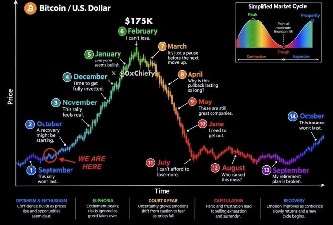 A Bitcoin price chart labeled 'Bitcoin / U.S. Dollar' with annotations by '@OxChiery' predicting a market cycle. It projects price movements from September through October, peaking at $175K in February, and maps emotional phases like 'EUPHORIA', 'DOUBT & FEAR', and 'CAPITULATION'.