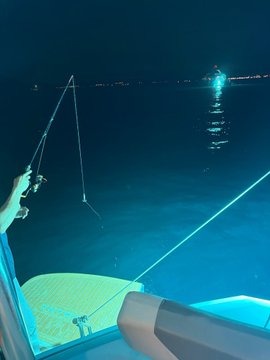 The image shows a person holding onto a fishing rod, standing on top of a boat with their hands outstretched towards the water. The scene takes place at night, as indicated by the dark background. There are several other people visible in the image, but they do not appear to be involved in any activity related to fishing or boating.
