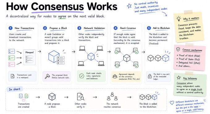 An infographic titled 'How Consensus Works' explaining blockchain validation through five steps: new transactions, proposing a block, network validation, reaching consensus, and adding to the blockchain.