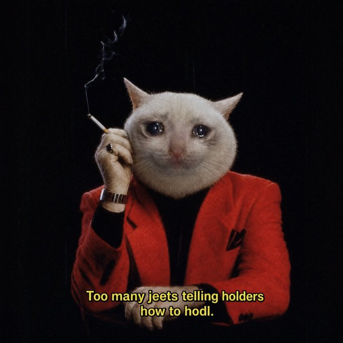 A white cat wearing a red blazer holds a smoking cigarette against a black background, with yellow caption text reading "Too many jeets telling holders how to hodl." The image's slang-laden caption about "jeets" (people who sell early) and "hodl" (holding onto investments) complements the post's reassurance to $CASHCAT holders to remain patient despite the growing holder count.
