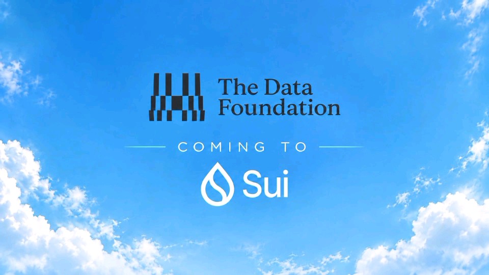 An announcement graphic with a blue sky background reads 'The Data Foundation COMING TO Sui'.