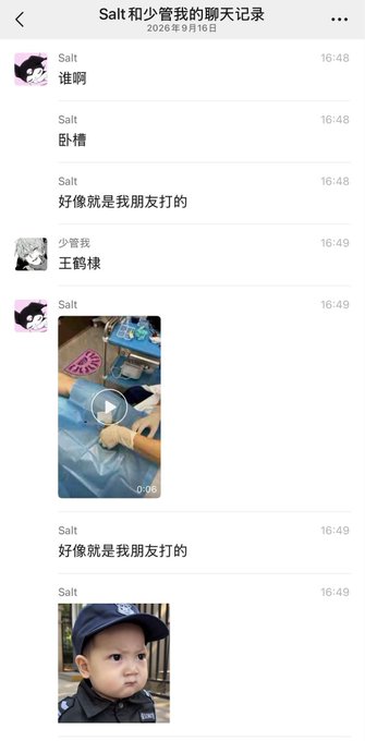A Chinese chat record from 2026/9/16 titled 'Salt 和 少管我的聊天记录' where Salt asks '谁啊' (who is it) about a '卧槽' (wtf) event, identifies it as something a friend did, and少管我 responds with '王鹤棣' (Wang Hedi) along with a video and an image of a baby in a police uniform.