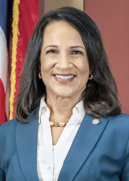 A professional headshot of a woman with shoulder-length brown hair, wearing a blue blazer over a white blouse with a pearl necklace, smiling in front of an American flag—matching Lisa Demuth, the Republican candidate who is now favored at 55% to win Minnesota's gubernatorial primary over Mike Lindell.
