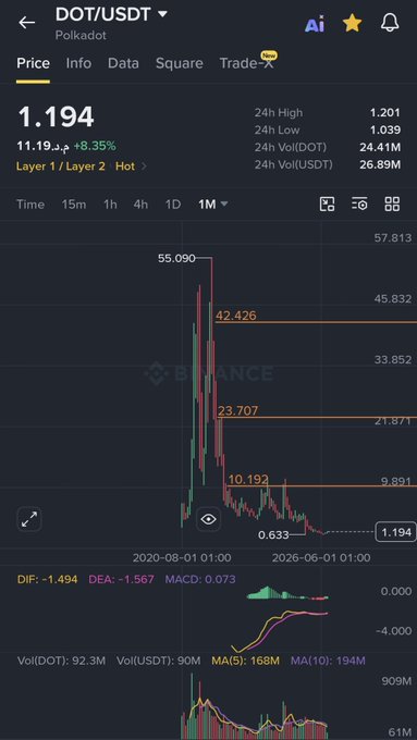 A Binance chart of Polkadot (DOT/USDT) showing the current price at $1.194, with an 8.35% gain and a 24-hour high of $1.201 and low of $1.039, contextualizing the post's discussion of DOT's potential for a significant bounce from its low levels toward an $8-$10 target.
