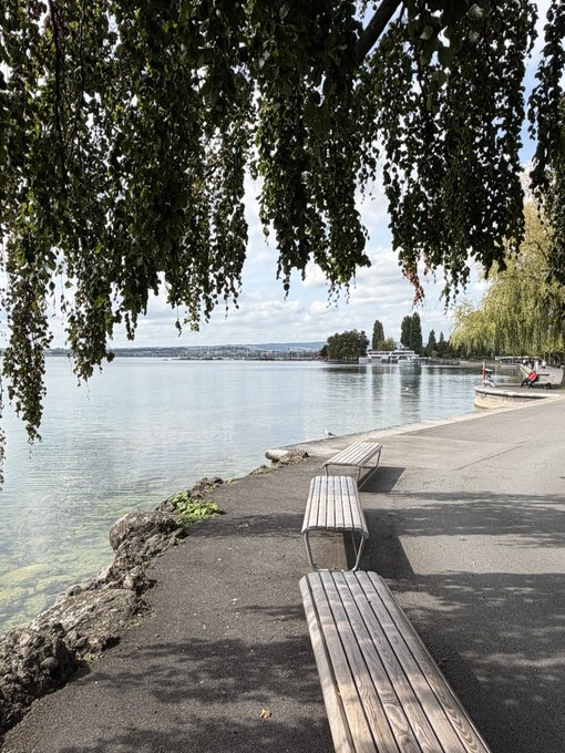 A scenic waterfront promenade features wooden benches shaded by a large tree, overlooking a calm lake with boats and distant hills.