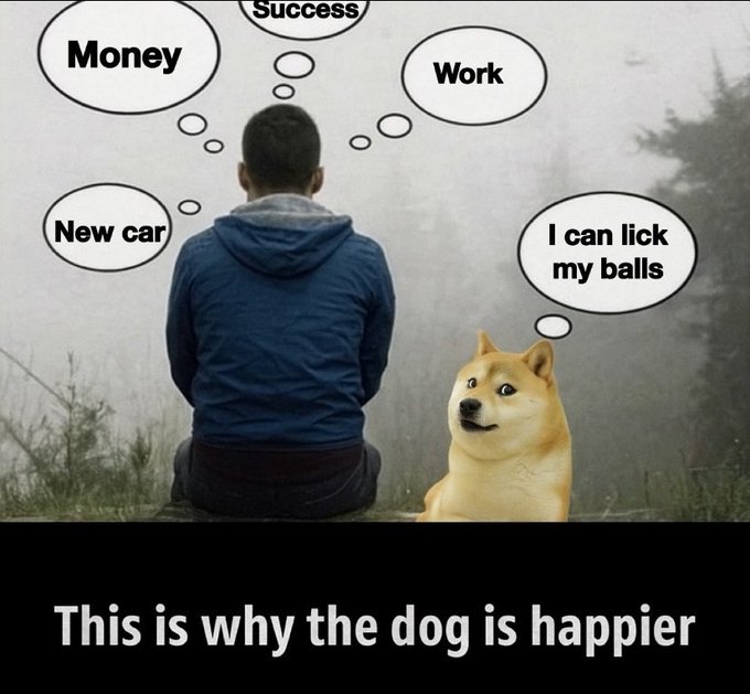 A man in a blue jacket sits on the ground, accompanied by a talking dog with a yellow body and brown eyes, as if contemplating life's questions about money, success, work, new cars, and licks balls.