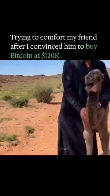 A photo of a man wearing a black robe holding an animal with its head hanging off his shoulder while looking towards the camera, accompanied by text that reads "Me consoling my friend I told to buy Bitcoin at $120k".