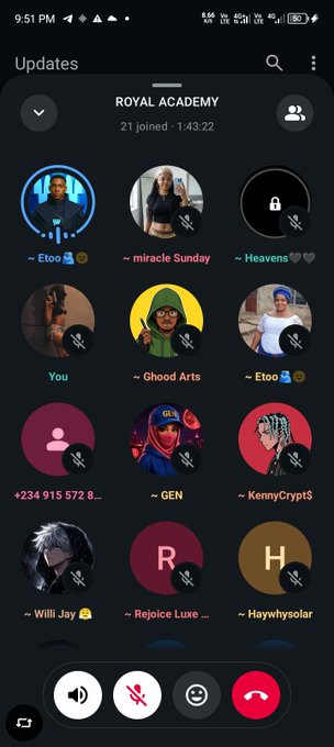 A screenshot of an active Discord call in 'ROYAL ACADEMY' showing 21 participants, with several users marked as muted.