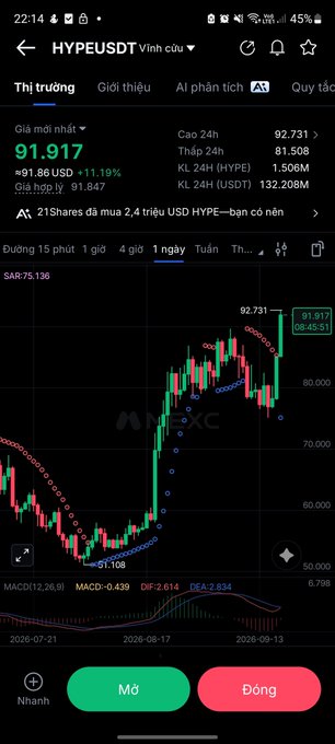 A mobile trading app screenshot showing a candlestick chart for HYPEUSDT on a Vietnamese exchange, displaying a current price of 91.917 with an 11.19% increase.