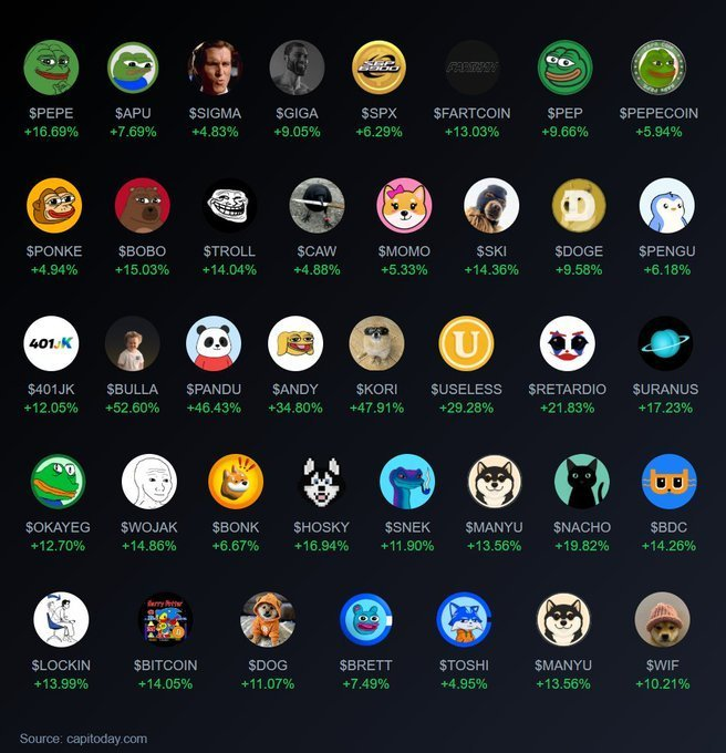 A grid of 40 meme coin tickers with percentage gains shows various cryptocurrency icons like $PEPE (+16.69%), $DOGE (+9.58%), $BONK (+6.67%), and $SHIB-adjacent tokens such as $SHOKY (+16.94%) and $SNEK (+11.90%), all displayed with green positive returns. Notably absent from the list are "#Alcoins," "#Droverinu," and additional Pepe-related tokens mentioned in the post's caption, highlighting coins that are missing from this meme coin leaderboard.
