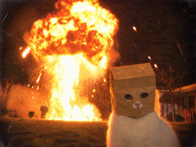 A fluffy white cat wearing a brown paper bag over its head sits calmly in the foreground with wide eyes and a pink nose visible through a hole in the bag. Behind the cat, a massive fiery explosion erupts in a mushroom-cloud shape, illuminating the night scene with bright orange and yellow flames. A small house or shed and bare trees are faintly visible in the background to the right. The image has a vintage, grainy quality resembling an old photograph, juxtaposing the serene feline with the dramatic apocalyptic backdrop.
