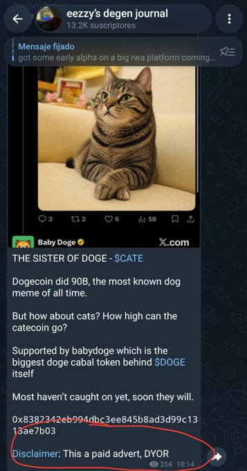 A Telegram post from 'eeezzy's degen journal' featuring a cat photo and a pinned message promoting '$CATE' as 'THE SISTER OF DOGE', supported by babydoge, with a disclaimer circled in red stating 'This a paid advert, DYOR' alongside a contract address.