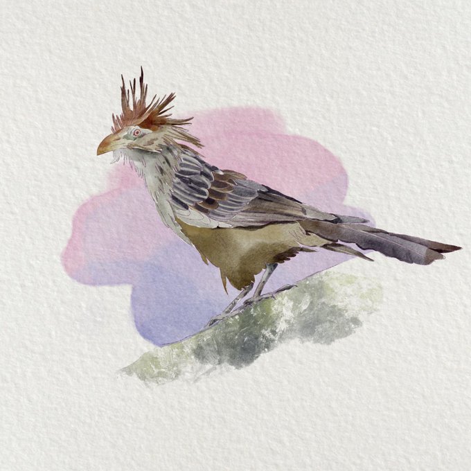 A watercolor painting of a bird with a spiky crest perched on a green mossy branch, set against a soft pink and purple background wash.