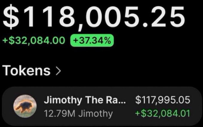 A screenshot showing a portfolio value of $118,005.25 with a +$32,084.00 (+37.34%) gain, driven entirely by "Jimothy" token holdings worth $117,995.05 (+$32,084.01) on 12.79M Jimothy tokens. The image illustrates the post's claim of a 1089x return on $JIMOTHY, showcasing the massive profit to promote the poster's next "1000x" call.
