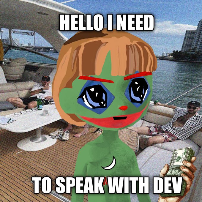 A meme featuring a drawn green character holding cash superimposed over a luxury boat scene, with text reading 'HELLO I NEED TO SPEAK WITH DEV'.