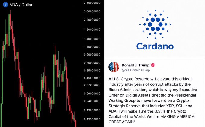 The image juxtaposes a steep downward candlestick chart of ADA/Dollar (showing prices falling from ~$3.80 to around $0.15) alongside Cardano's logo and a tweet from Donald J. Trump (@realDonaldTrump) announcing his Executive Order to create a U.S. Crypto Strategic Reserve that includes XRP, SOL, and ADA. Together with the caption, the graphic illustrates the brutal decline in Cardano's value—from an all-time high that would have reduced a $10,000 investment to just ~$500—even after being named to Trump's proposed Strategic Crypto Reserve in March 2025.