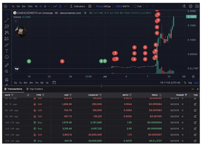 A TradingView candlestick chart for "CASHCAT/WETH on Uniswap" showing a sharp price surge from around $0.03 to $0.18, annotated with red "S" (sell) and green "B" (buy) markers, with a transactions table below showing predominantly sell orders.