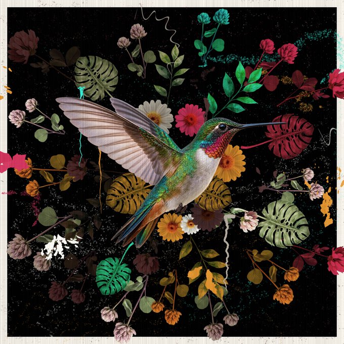 A detailed collage-style illustration of a hummingbird with outstretched wings, surrounded by various tropical flowers, monstera leaves, and botanical elements on a dark background.