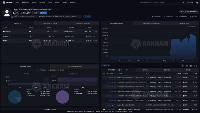 The image shows the Arkham Intelligence dashboard for wallet 0x4B1...a8a7, displaying portfolio assets (CASHCAT with a $873,371.26 value showing 0.69% gain, and USDC), a balances history chart, an exchange usage breakdown, and recent transfer activity totaling ~63,500 across USDC, USDC, and USDC tokens, which reflects the trader's $1.29M CASHCAT purchase that has resulted in a ~$412K unrealized loss after CASHCAT's 30% decline post-Robinhood listing.