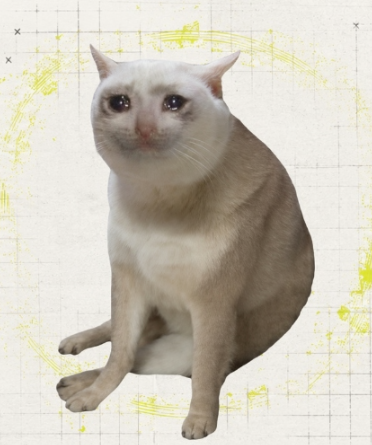 The image shows a white cat sitting on a gridded background decorated with yellow paint splatters and small "x" marks in the upper-left corner.

The cat serves as a visual mascot for "现金猫" (Cash Cat) / $CASHCAT, a cryptocurrency token. The post references this cat as the project's symbol while discussing how $CASHCAT maintained its value and even rose despite hype around Robinhood Chain and the $DATABEAR mascot, attributing its resilience to strong market-making by its holders.