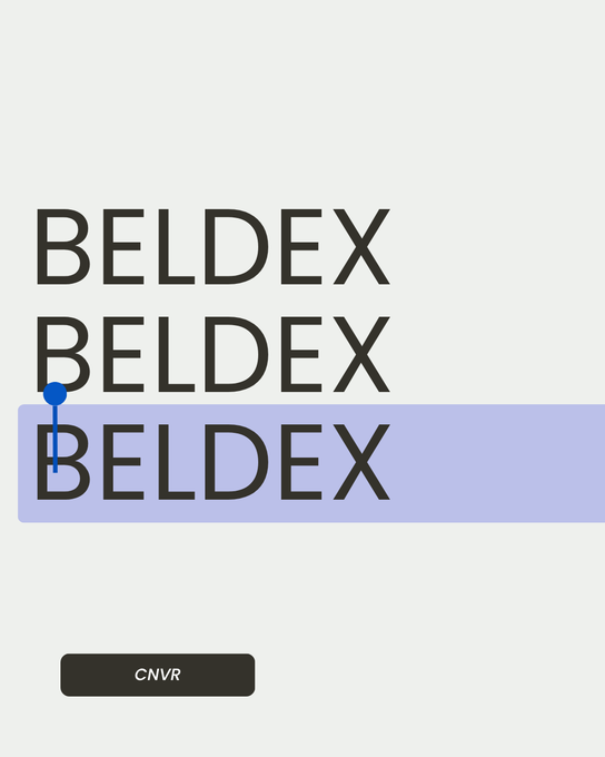 The image displays the word "BELDEX" repeated three times in black text, with a blue-tinted highlight on the bottom instance and a "CNVR" button below. The design visually reinforces the post's focus on Beldex's privacy-first approach in the Web3 ecosystem by prominently featuring the brand name alongside a conversion call-to-action.